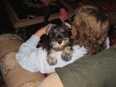 Harley IMG_3002.JPG Harley IMG_3002.JPG